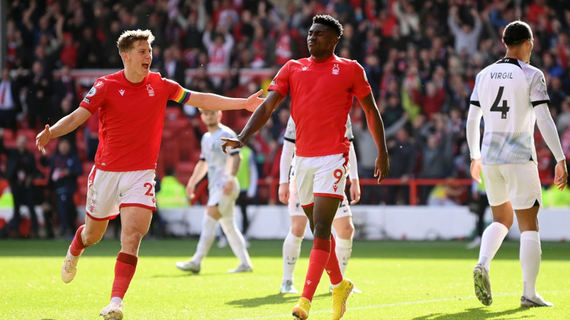 土球员的培 土球员的培